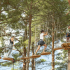 Camping La Farigoulette *****