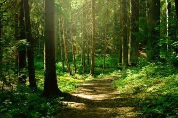 Camping La Liez Ciela Village Peigney Haute-Marne randonnée activité
