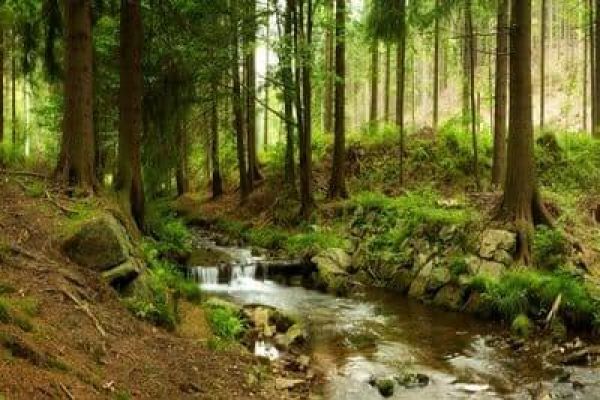 Camping La Liez Ciela Village Peigney Haute-Marne activités