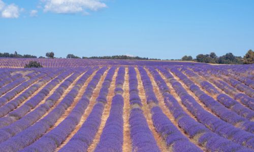 Camping Ciela Village provence pas cher