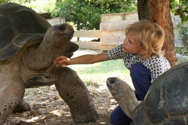 Camping Barcarès Ciela Village Le Floride Vallée des tortues