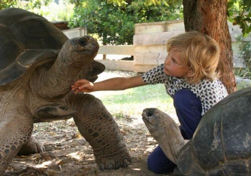 Camping Barcarès Ciela Village Le Floride Vallée des tortues