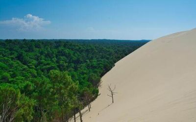 Dune du Pilat campings Ciela Village Nouvelle-Aquitaine