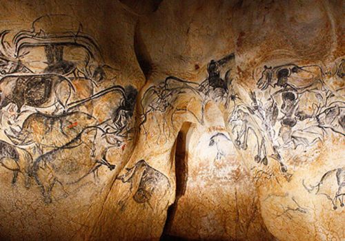 Peintures rupestres représentant des animaux sur la paroi de la Grotte Chauvet 2 à proximité du camping Le Pommier - Ciela Village à Villeneuve de Berg en Ardèche