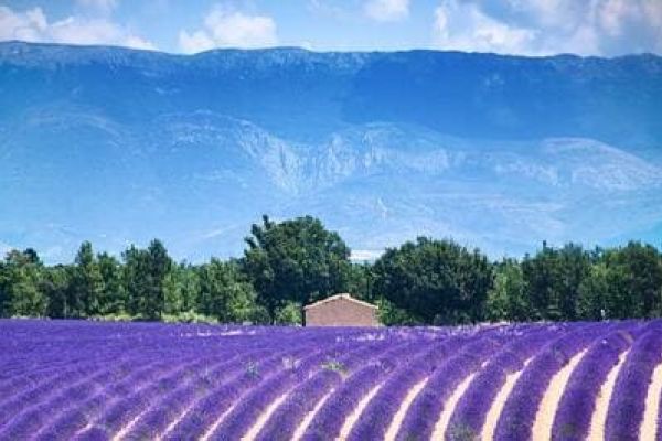 Camping St-Laurent-du-Verdon Ciela Village La Farigoulette Valensole