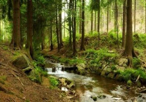 Camping La Liez Ciela Village Peigney Haute-Marne