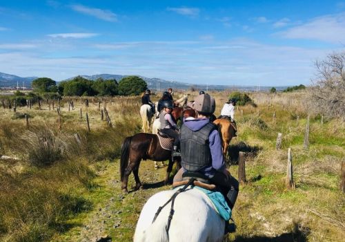 Camping Barcarès Ciela Village Le Floride Centre Equestre