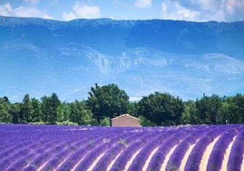Camping St-Laurent-du-Verdon Ciela Village La Farigoulette Valensole
