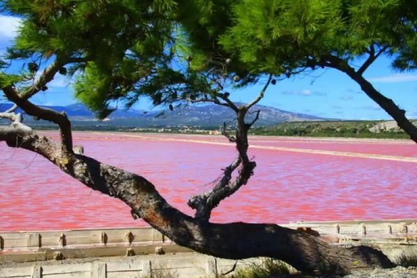 Camping Barcarès Ciela Village Le Floride Salin de l'Aude
